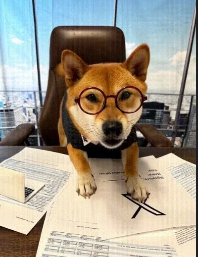 X CEO Floki — The Shiba CEO